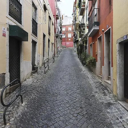 Combro Classic By Homing Lissabon